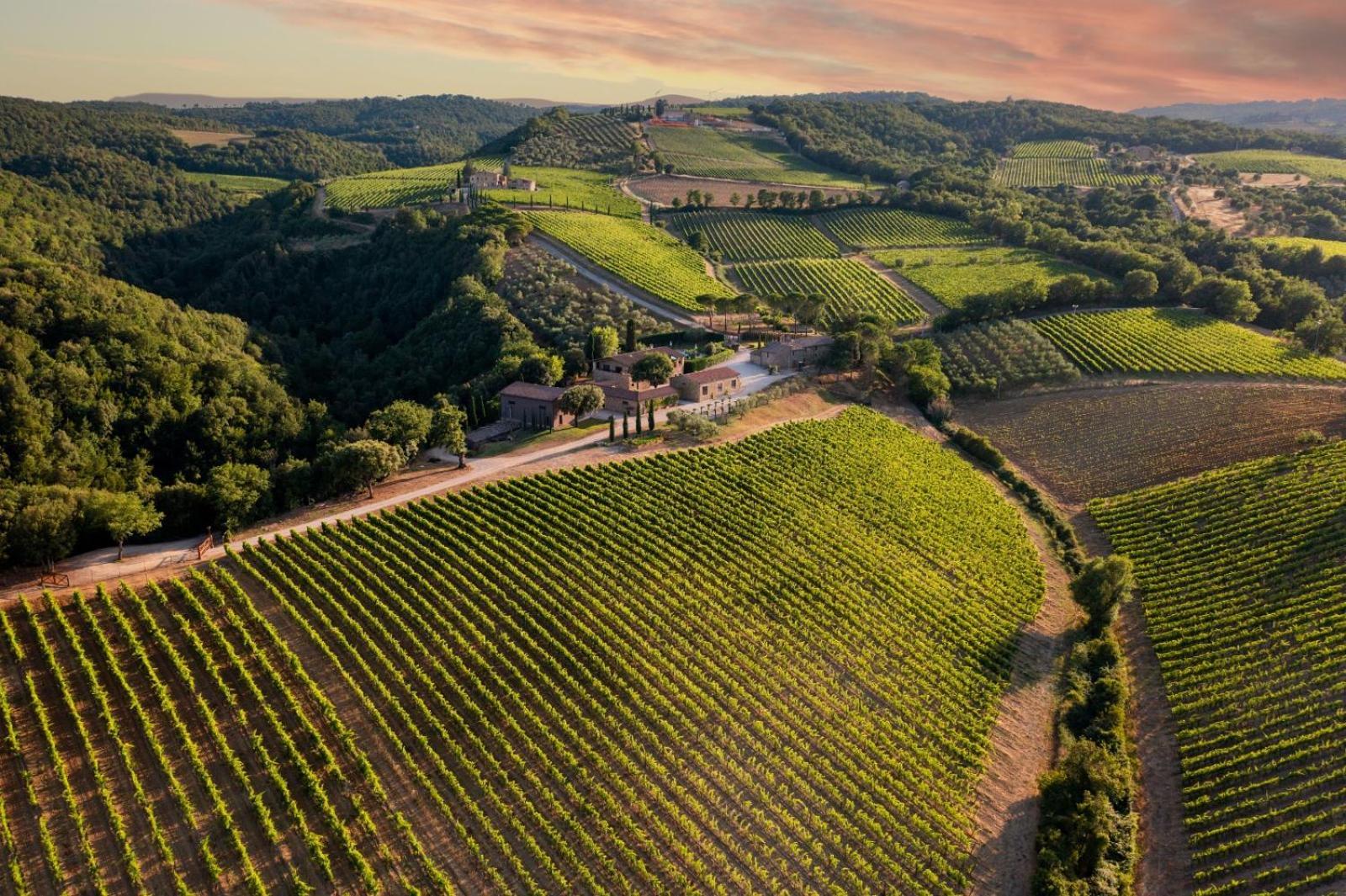 Tenuta San Filippo Villa Montalcino Dış mekan fotoğraf