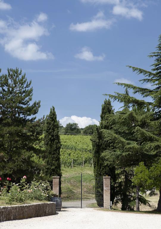 Tenuta San Filippo Villa Montalcino Dış mekan fotoğraf