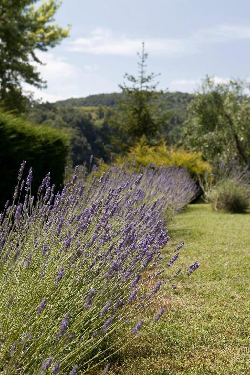 Tenuta San Filippo Villa Montalcino Dış mekan fotoğraf