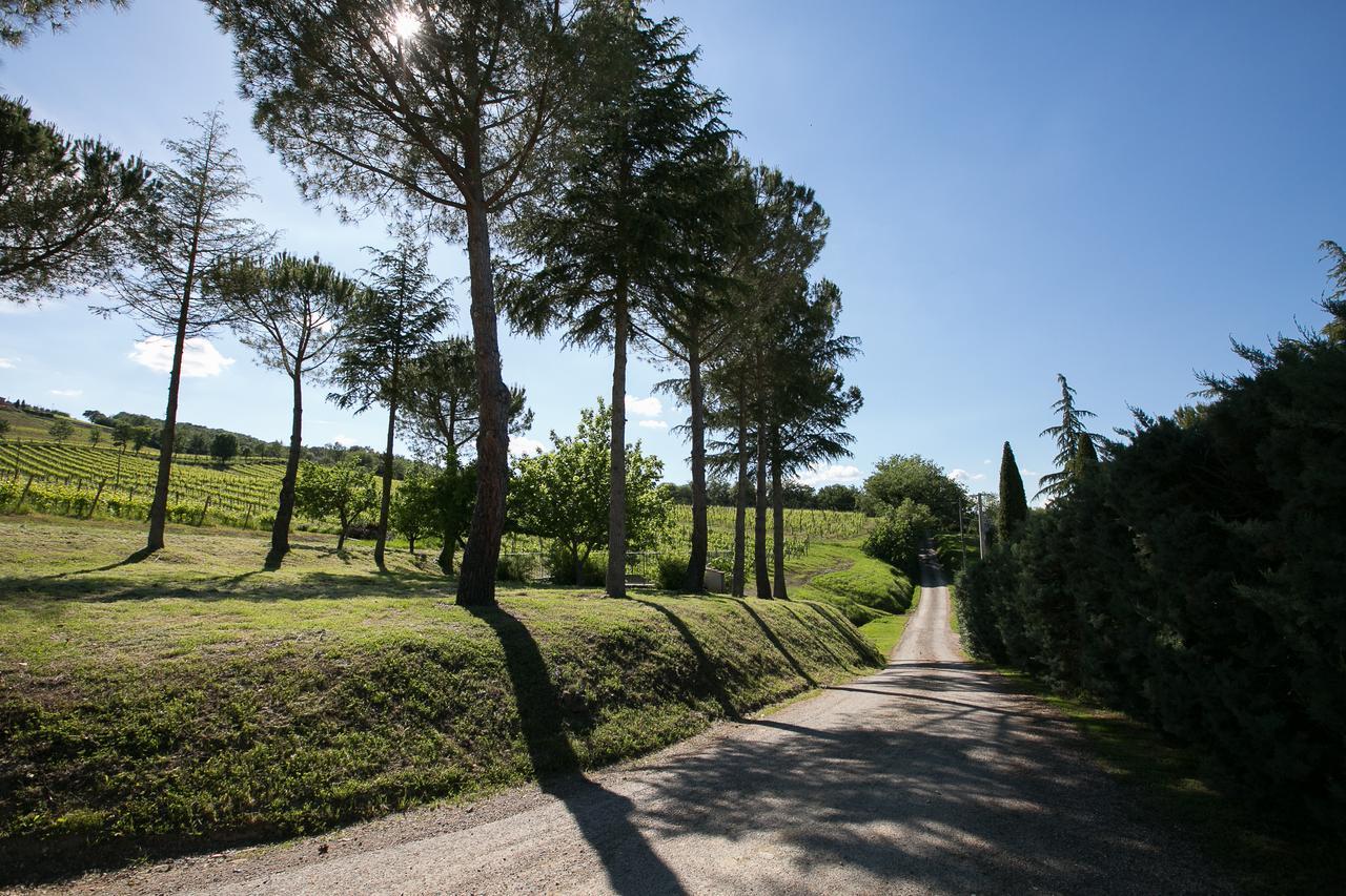 Tenuta San Filippo Villa Montalcino Dış mekan fotoğraf